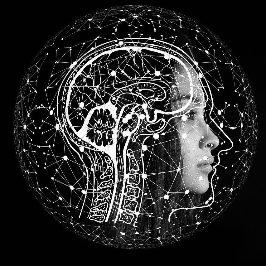 artificial intelligence, brain, thinking, computer science, technology, intelligent, information, data, microprocessor, data exchange, communication, network, digitization, science fiction, futuristic, artificial intelligence, brain, brain, brain, brain, brain, technology